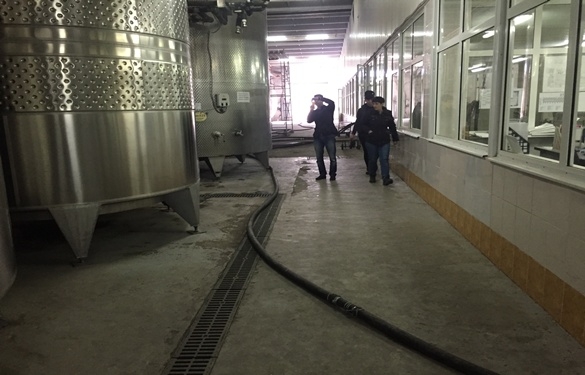 Завод первичного виноделия, фото 5